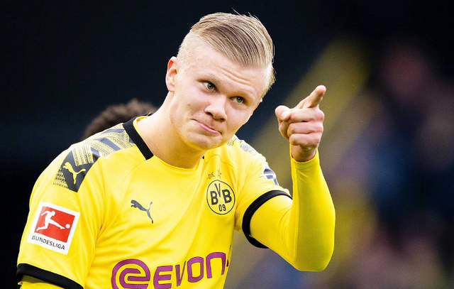 期样本中体 期样本中体